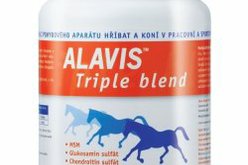 kloubní výživa pro koně vitamine pentru bolile articulare